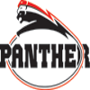 Dusseldorf Panther